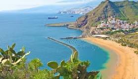 Agricultura premiará al mejor aceite de oliva extra de Canarias .