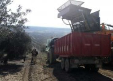 Los jóvenes agricultores de Jaén, contra las cuerdas.