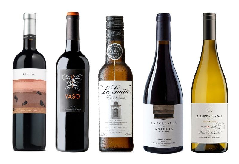 Los diez mejores vinos por menos de 10 euros.
