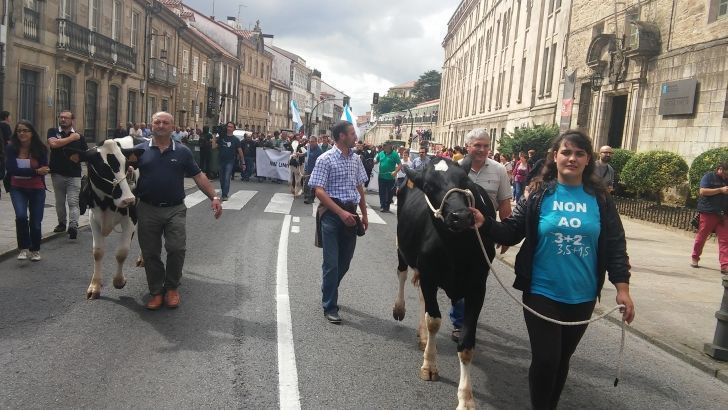 Los ganaderos de vacuno de leche europeos convocan una protesta en Bruselas el próximo 23 de enero ..