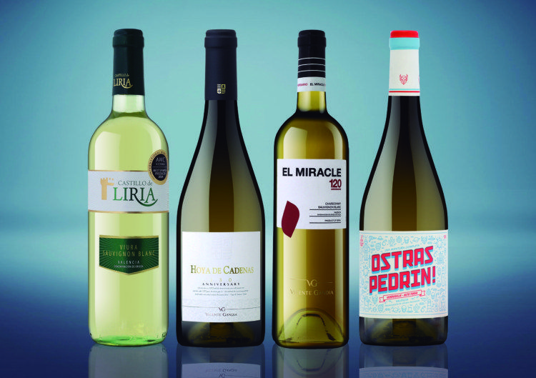 Vicente Gandía presenta los vinos jóvenes de la añada 2016.