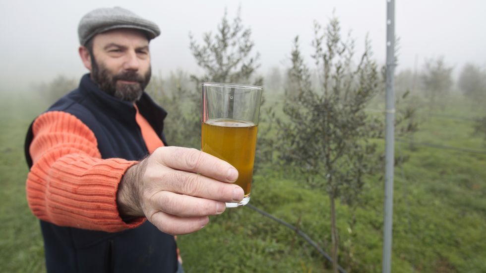 Nace el primer aceite estradense.