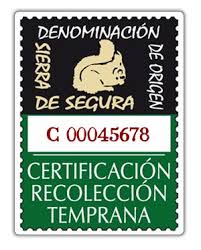 Ocho almazaras de la DO “Sierra de Segura” ya utilizan la certificación de recolección temprana.