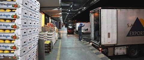 Las empresas españolas mejoran sus expectativas de exportación.