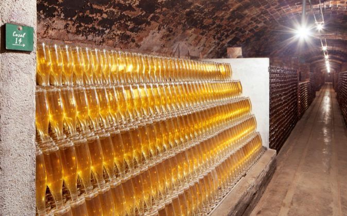 Cava Nadal, un espumoso de calidad para celebrar el Año Nuevo.