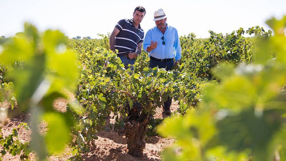 Grupo Jorge Ordóñez: de viñedos con historia a vinos con encanto.
