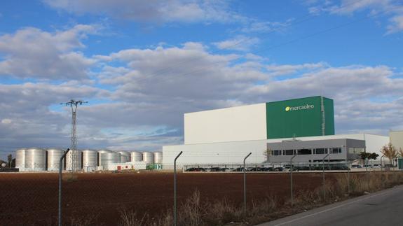 Dcoop ultima las obras de su nueva bodega de aceite de oliva en Antequera.