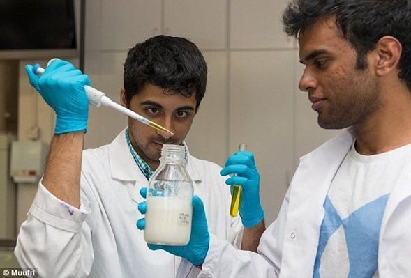 La primera leche artificial sintetizada industrialmente será una realidad en 2017 .