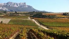 Rioja Alavesa exportó vinos por 155 millones de euros en 2016.