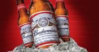 El anuncio de Budweiser para la Super Bowl es un desafío a Donald Trump.