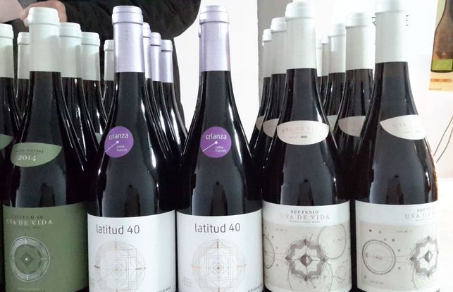 Latitud 40, los vinos biodinámicos y “sanos” de Toledo .
