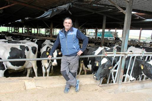 El Govern defenderá ante Madrid que las vaquerías vendan leche sin pasteurizar.