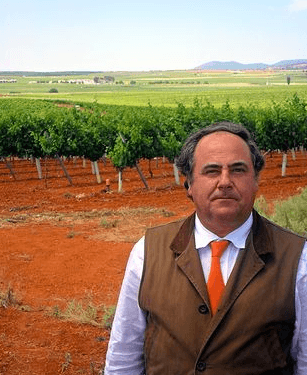 Fenavin acogerá cerca de 400 bodegas y cooperativas de vino ecológico, el doble que en 2016 .