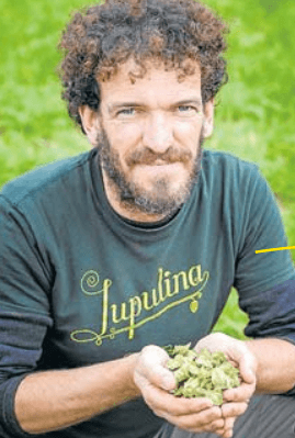 La fiebre del oro verde para hacer cerveza llega a Cataluña.