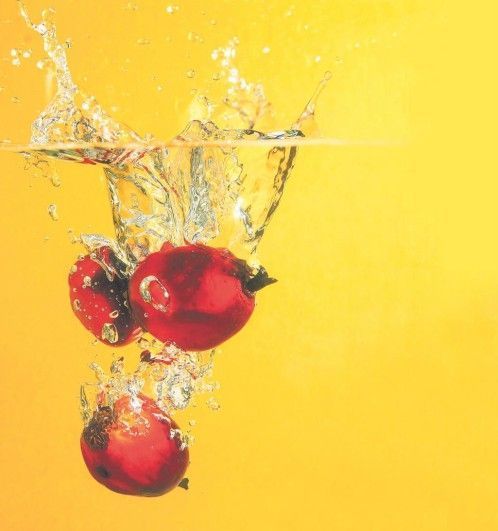 Aceite de palma: Su presencia en alimentos pediátricos resucita la polémica.