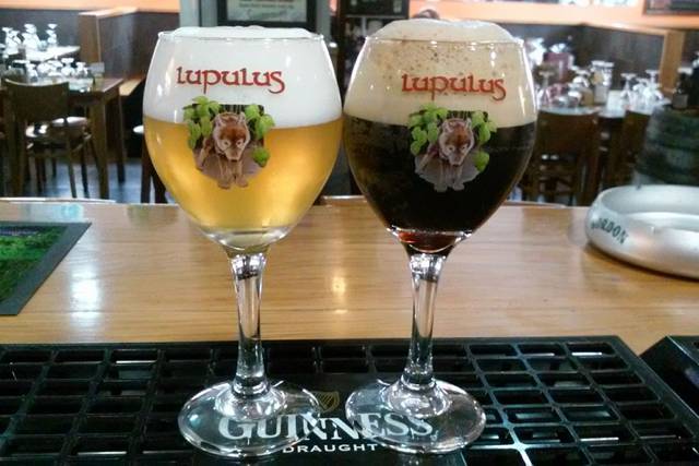La cerveza sin alcohol como aporte de ácido fólico durante el embarazo.