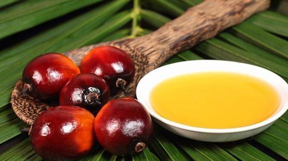 Gipuzkoa exige mejorar el etiquetado de los productos con aceite de palma.