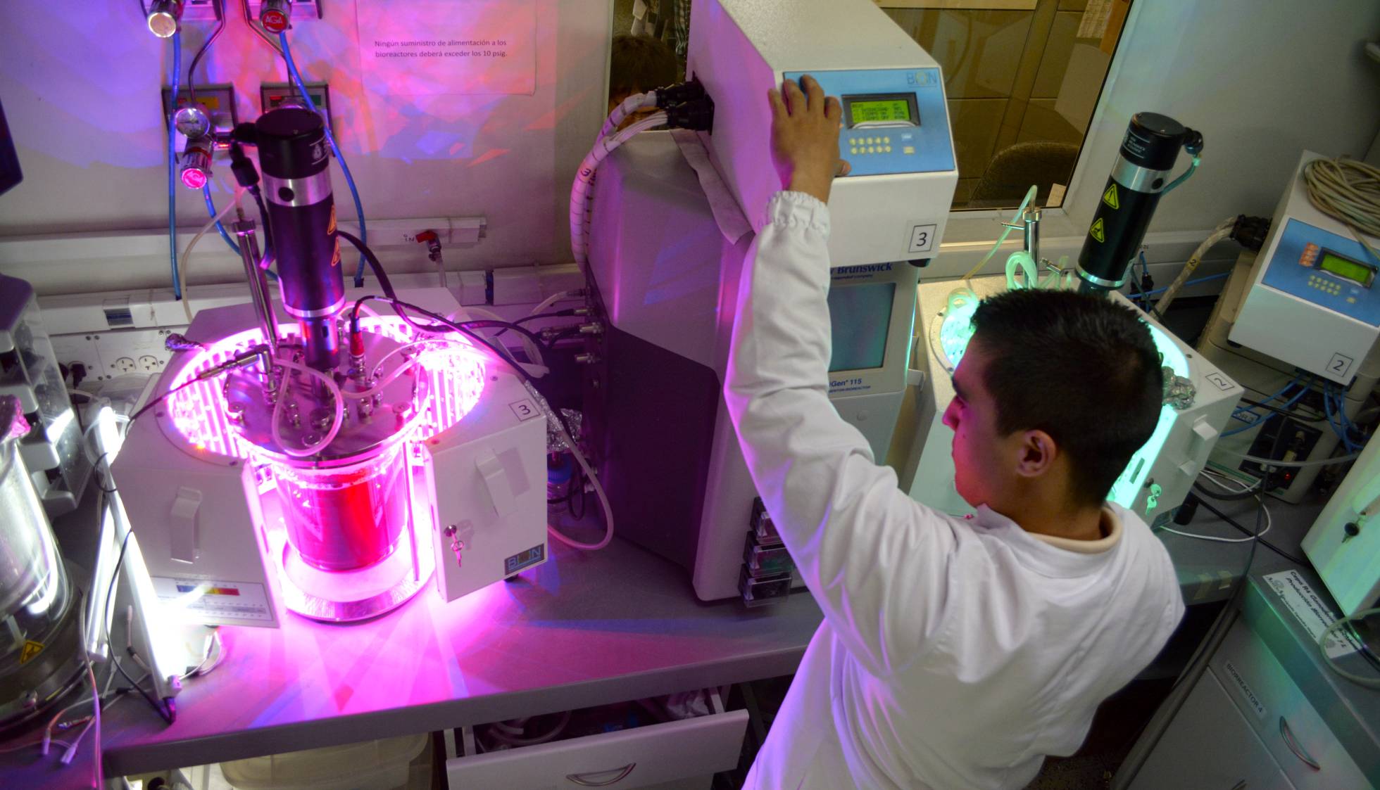 ¿Vendrá el chocolate del futuro de un laboratorio?