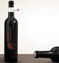 Cómo es el comprador español online de vinos.