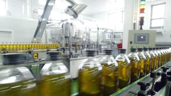 Jaén consigue una de las diez mejores producciones aceite de oliva en 30 años.