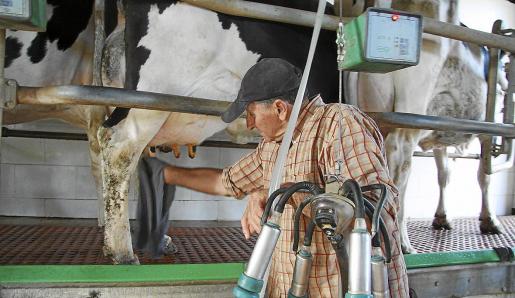 El Gobierno propone autorizar la venta directa de leche cruda en las fincas.