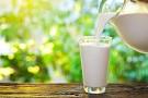 Nueva alarma tras decidir la industria láctea parar la recogida de leche a ganaderos de Castilla-La Mancha.