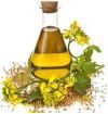 Los otros cinco aceites baratos más saludables que el de Palma: de la colza al algodón .