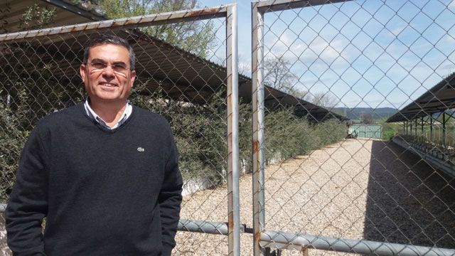 Investigadores de la UCO cercan dos hongos responsables de la seca de ramas en el olivar español y tunecino.