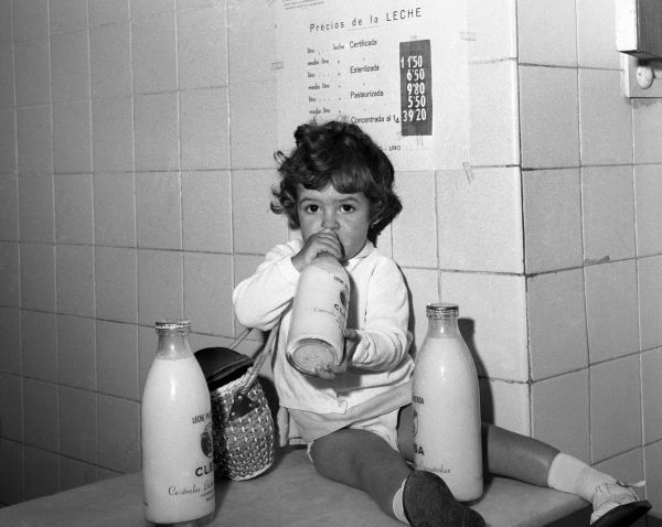 ¿Por qué ya no consumimos tanta leche de vaca?.