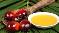 El consumo de aceite de palma se multiplica por 11 desde el año 2000.