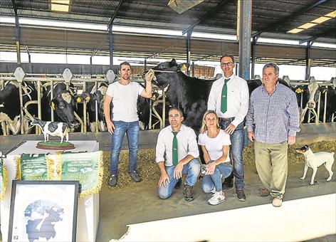 Once ganaderías de vacuno de leche acudirán a la Feria Agroganadera.