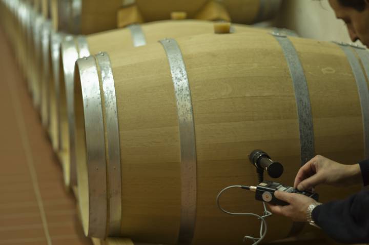 Transformación digital Tu vino preferido: uvas, madera… y circuitos integrados.