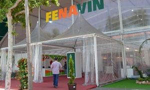 Más de 1.800 bodegas se darán cita en Fenavin 2017.