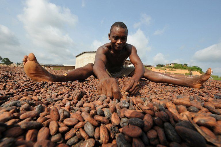 Abiyán, nueva sede mundial de la Organización Internacional del Cacao.