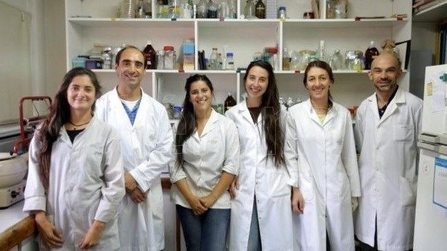 Crean la primera cerveza 100% argentina.