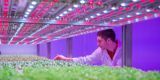 El sector alimentario entra en la era digital .