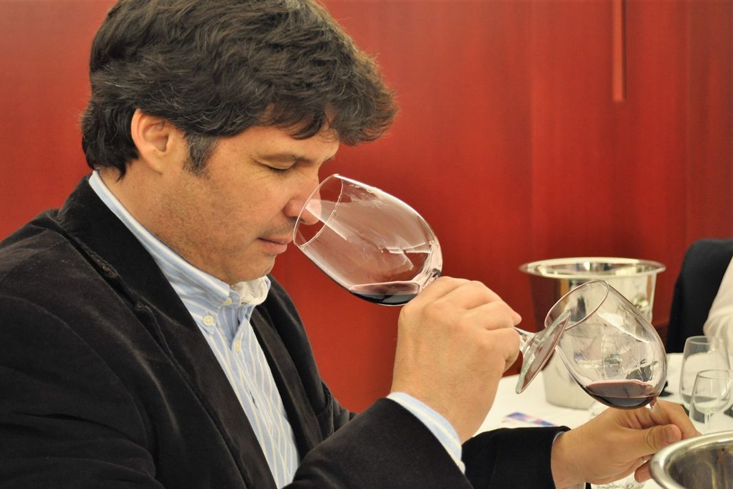 Profeta en su tierra: un vino de Montilla, ganador de Ecoracimo 2017.