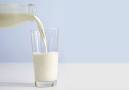 Navarra y Euskadi promoverán la dinamización del sector de ovino de leche latxo