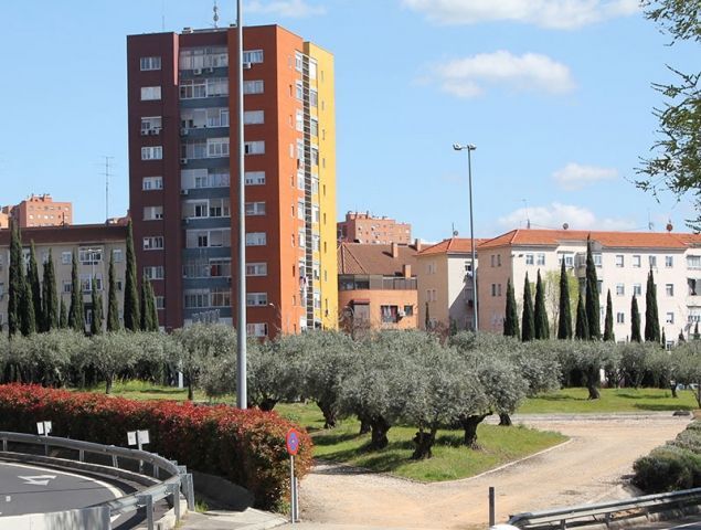 Nace el primer aceite hecho con los olivos de las rotondas de Madrid