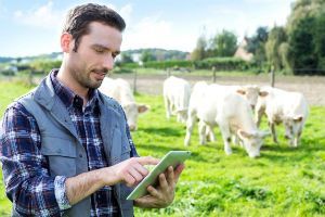 Mercatrace, la startup que permite conocer el recorrido de los alimentos