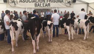 El sector lácteo reivindica su importancia en la Fira de Campos
