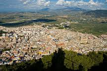 La AICA confirma una producción de 1.279.000 tm de aceite, de las que 503.000 son de Jaén
