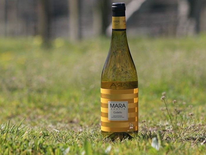 Mara Martín elegido mejor vino de España