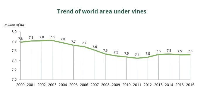 El consumo de vino en el mundo fue de 24.100 millones de litros en 2016