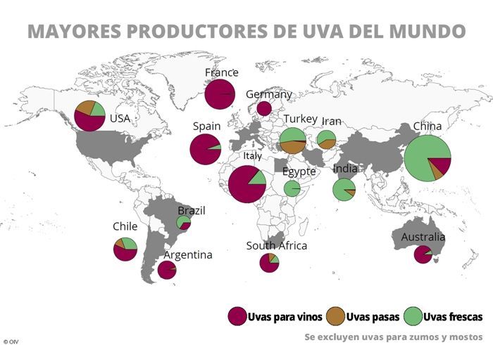 3 Infografías para entender los tipos de uvas en el mundo
