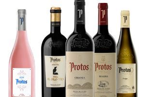 Bodegas Protos lanza su nueva tienda online
