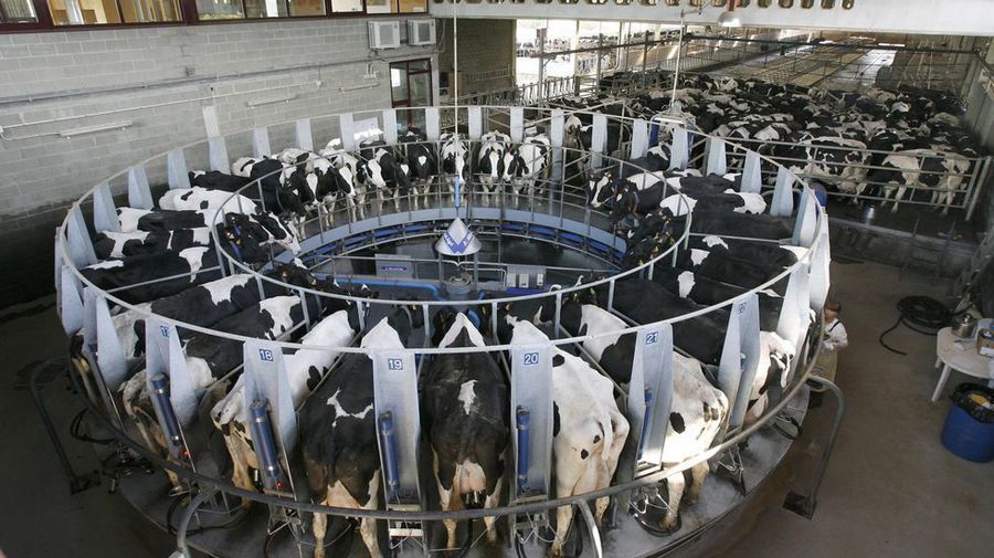 El precio de la leche crece tres veces más lento en Galicia que en el resto de Europa