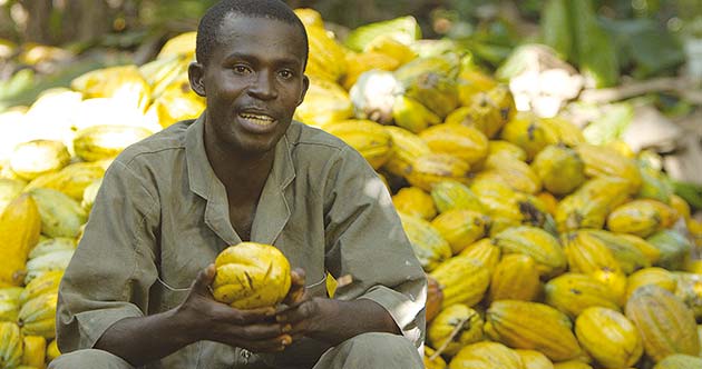 Mondelēz International avanza en sus compromisos para prevenir la deforestación en África Occidental