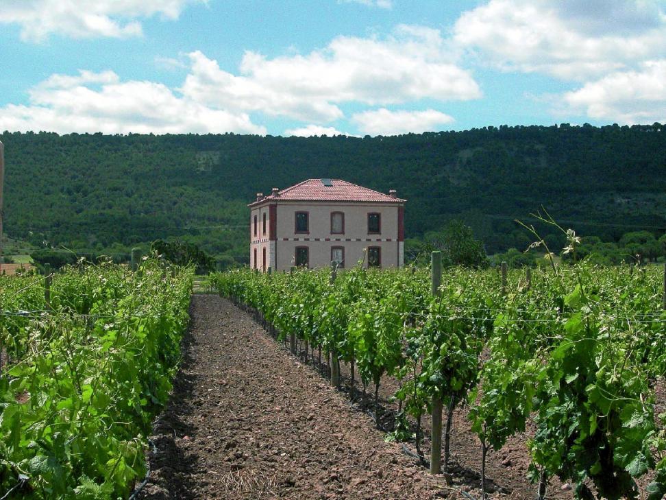 Una plataforma para impulsar el vino
