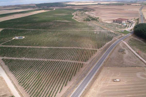 Los vinos de Castelo de Medina obtienen 3 Oros y una Plata en el Concurso Mundial de Bruselas 2017